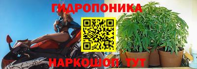 стаф Сибай