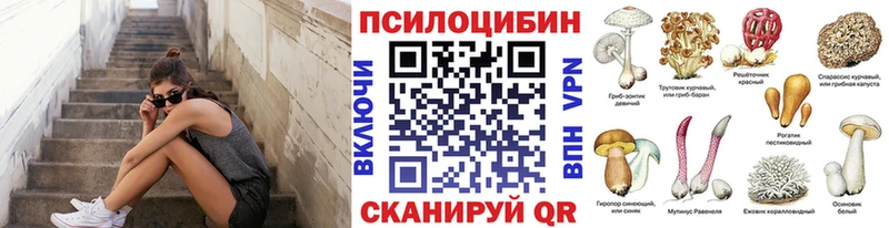 mega ONION  Магадан  Псилоцибиновые грибы Magic Shrooms 