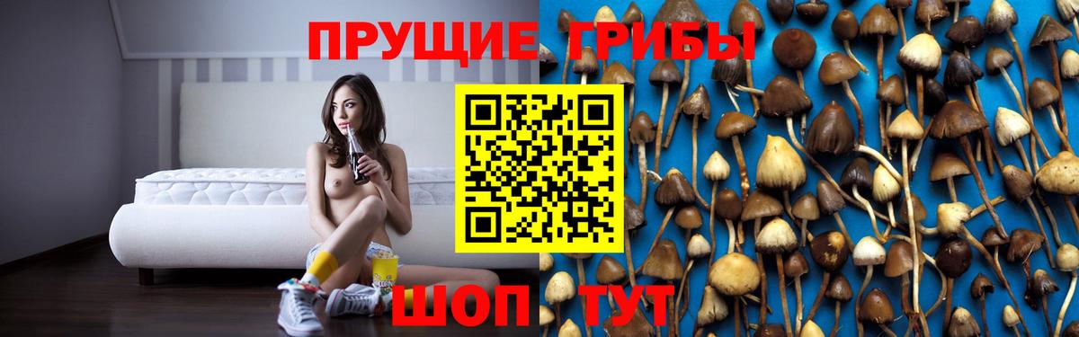 Галлюциногенные грибы Magic Shrooms Магадан