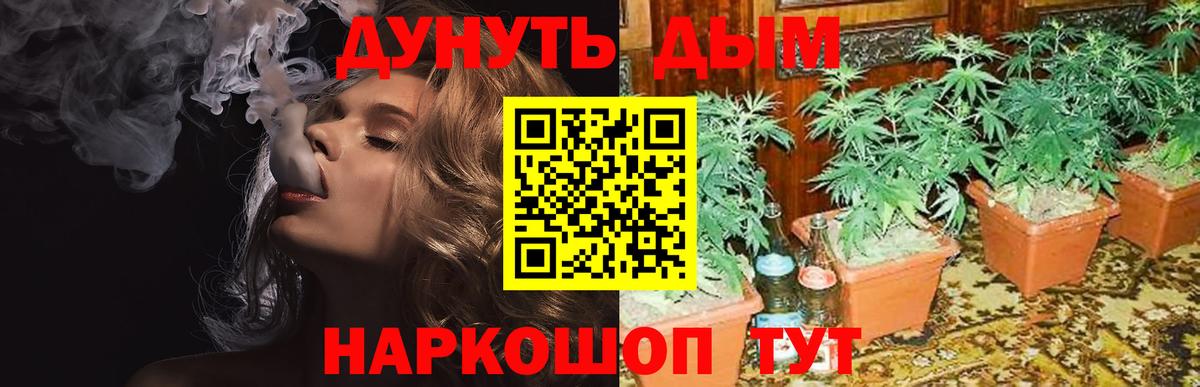 Магадан  Шишки марихуана индика  Вход с VPN  Канабис MAZAR  Каннабис VHQ 